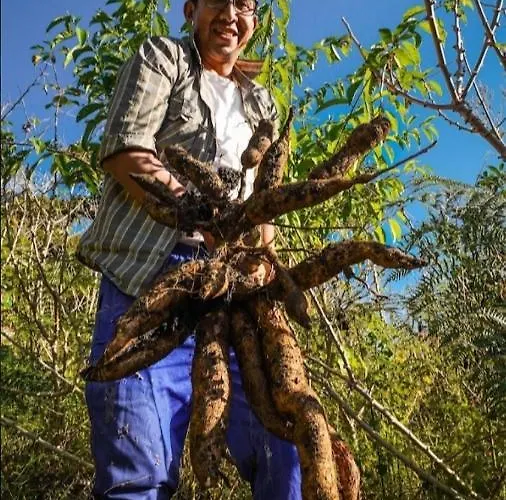 Lia Lucmabamba Auberge de jeunesse Sahuayaco