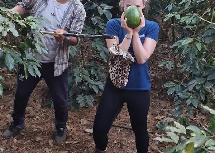 Lia Lucmabamba * Sahuayaco